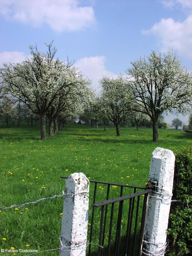 O Macra House - Aubel, Pays De Herve エクステリア 写真